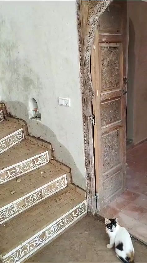 Escalier et porte en bois sculpté
